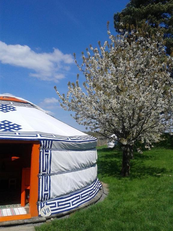 Yourte Nomade-Lodge Les Ecrennes Номер фото